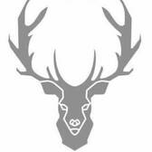 team_logo
