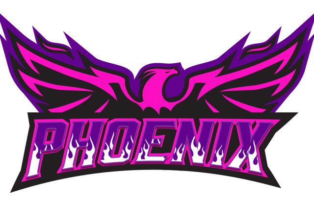 Phoenix is a generic team. They are using SportEasy, the best web and mobile app to manage any sports team (football, soccer, rugby, basketball, baseball, hockey, volleyball...). Coaches and managers can organize the games and practices or send group messages to their players. Players have convenient access to their schedule or statistics. SportEasy is free and available online and there’s an app for iPhone and Android.