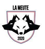 team_logo