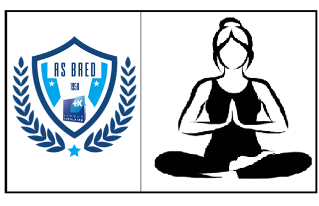 Yoga Paris AS BRED is a generic team. They are using SportEasy, the best web and mobile app to manage any sports team (football, soccer, rugby, basketball, baseball, hockey, volleyball...). Coaches and managers can organize the games and practices or send group messages to their players. Players have convenient access to their schedule or statistics. SportEasy is free and available online and there’s an app for iPhone and Android.